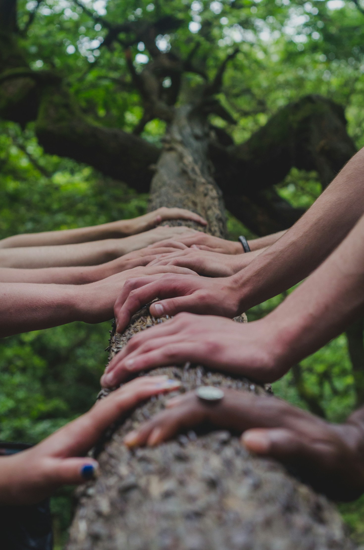 Therapy in Community Spaces: A Transformative Journey